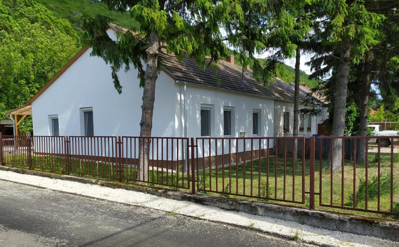 Elizabeth Vendeghaz Balatonfuzfon A Strandnal 외부 사진